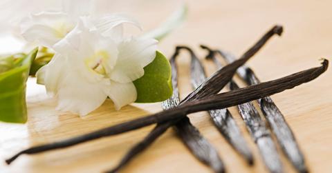 Vanilla bean laying on a table.
