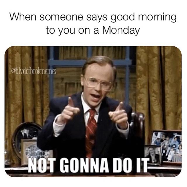 The Best Monday Sucks Memes: Share These on Social Media all Week Long