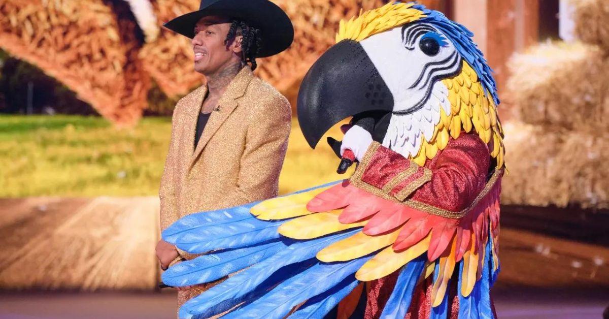 Who Is Macaw on The Masked Singer? All of the Clues So Far