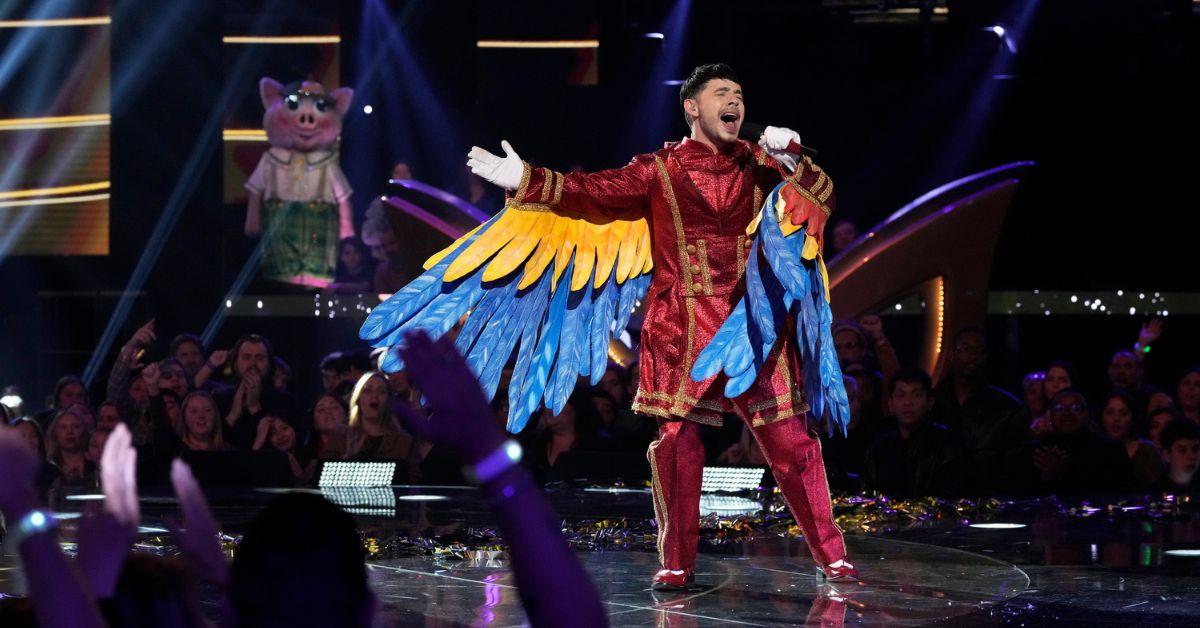 David Archuleta as Macaw on 'The Masked Singer' Season 9