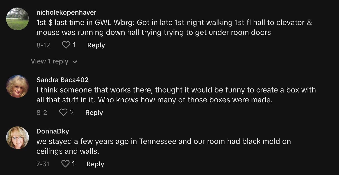 Commenters share their bad experiences at Great Wolf Lodge