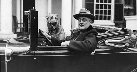 18-fdr-1578322829261.jpg