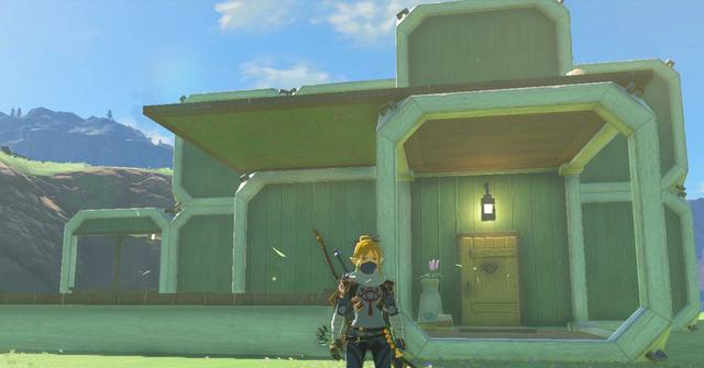 'Tears of the Kingdom' Link standing in front of a player-created house.