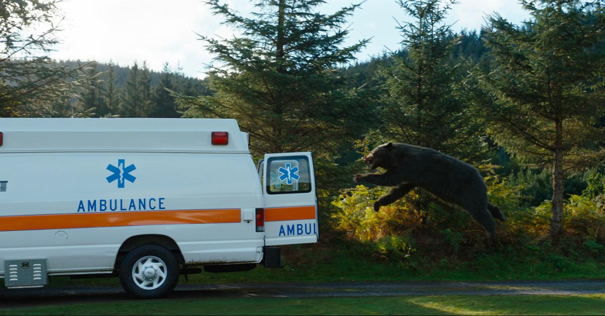 un ours cocaïne poursuit une ambulance