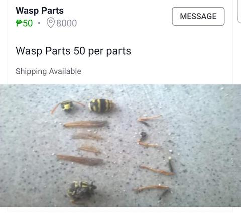 Bizarre Things People Are Trying to Sell on Craigslist and Facebook