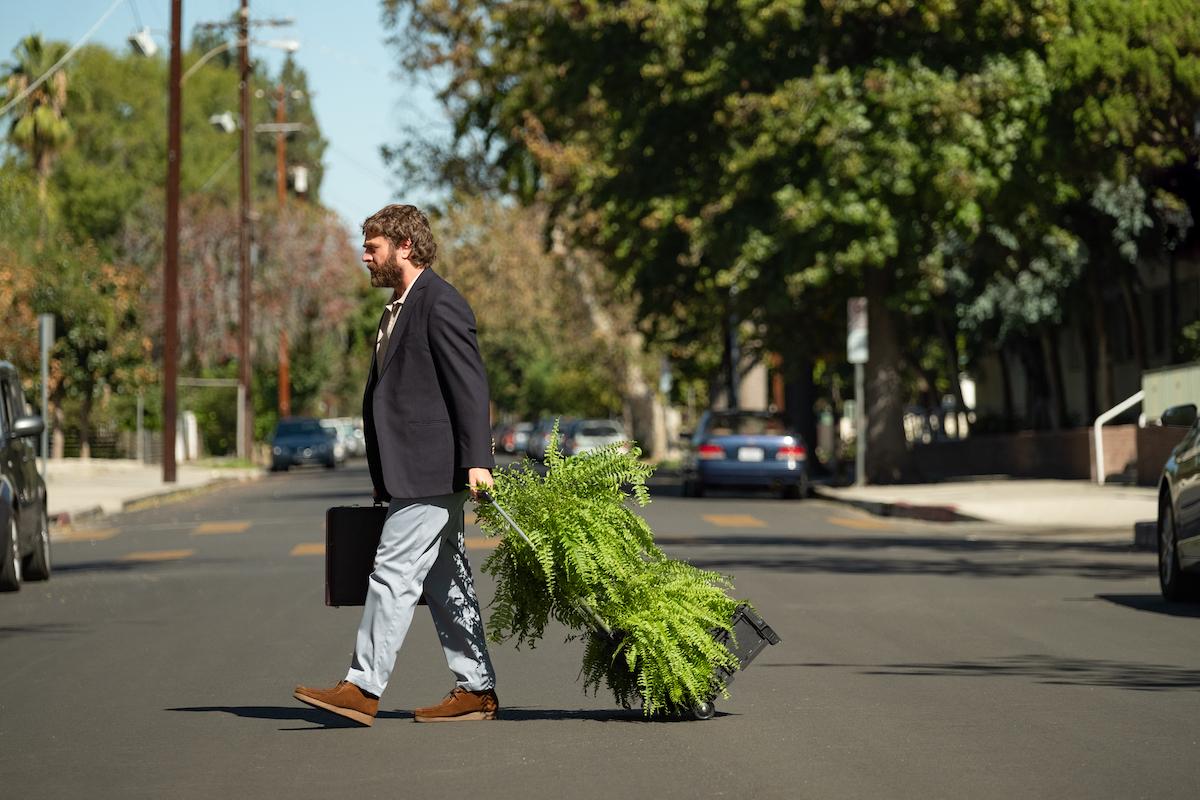 is between two ferns staged