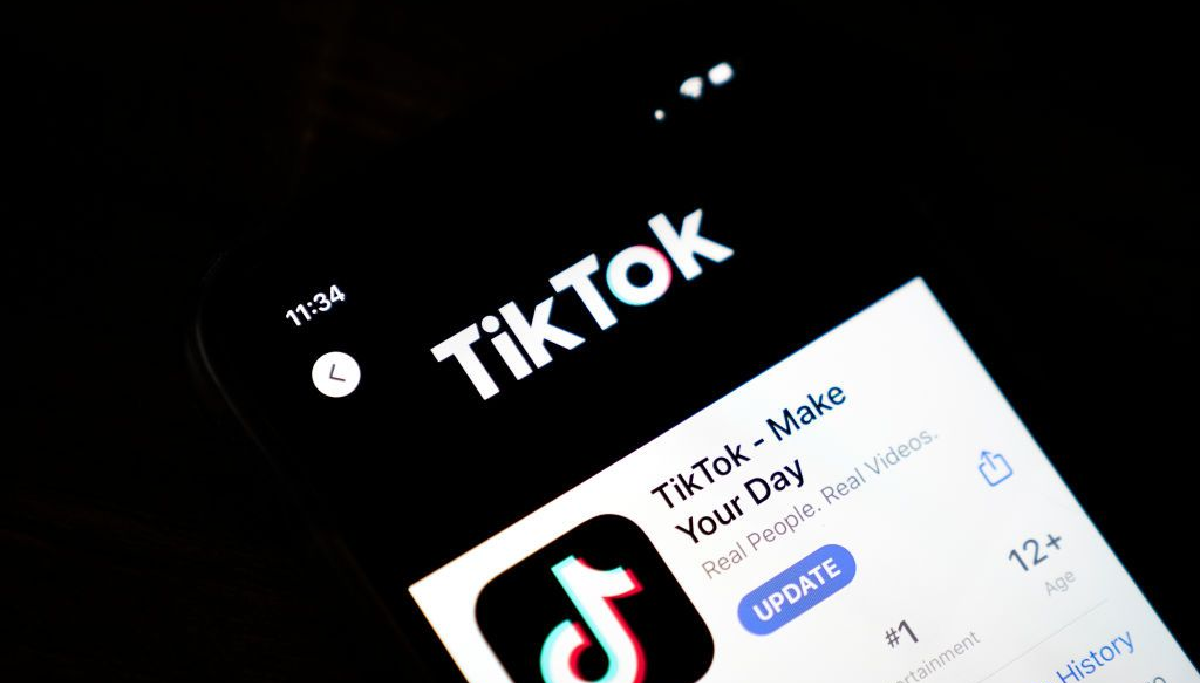 TikTok Counter: Discover the followers count of any TikToker