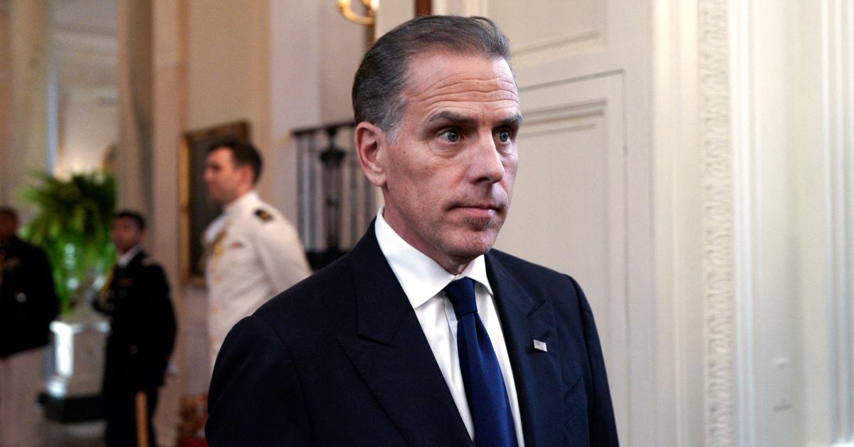 People Question Why Hunter Biden's Painting Are for Sale