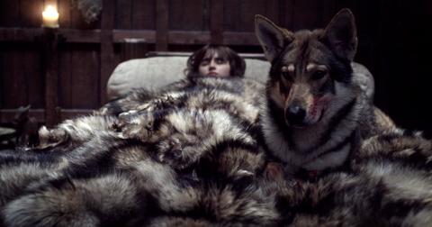 bran-stark-summer-1553282211398.jpg