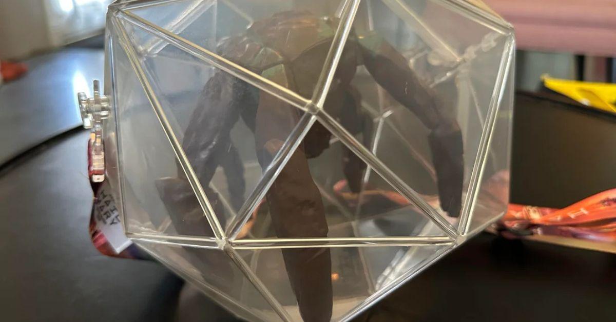 Rocky Habitat Popcorn Bucket