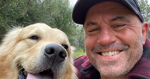 joe-rogan-head-scar-1589307415927.png