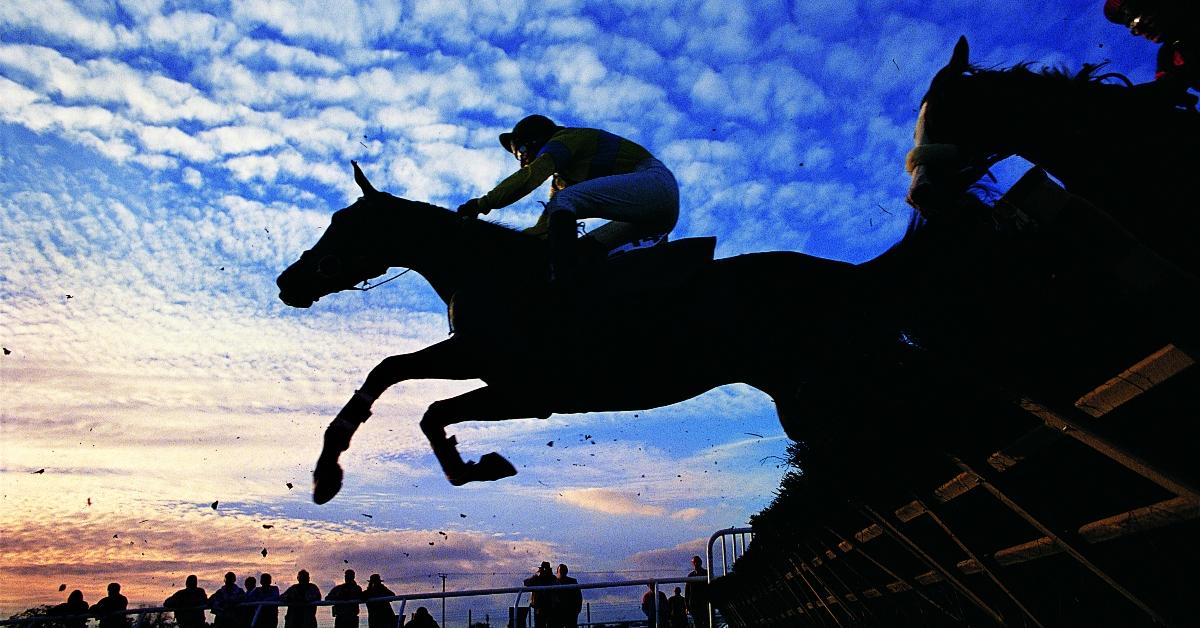 A horse jumps a steeplchase.