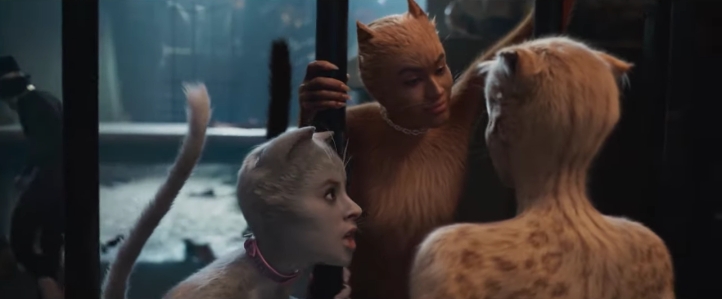 cats trailer