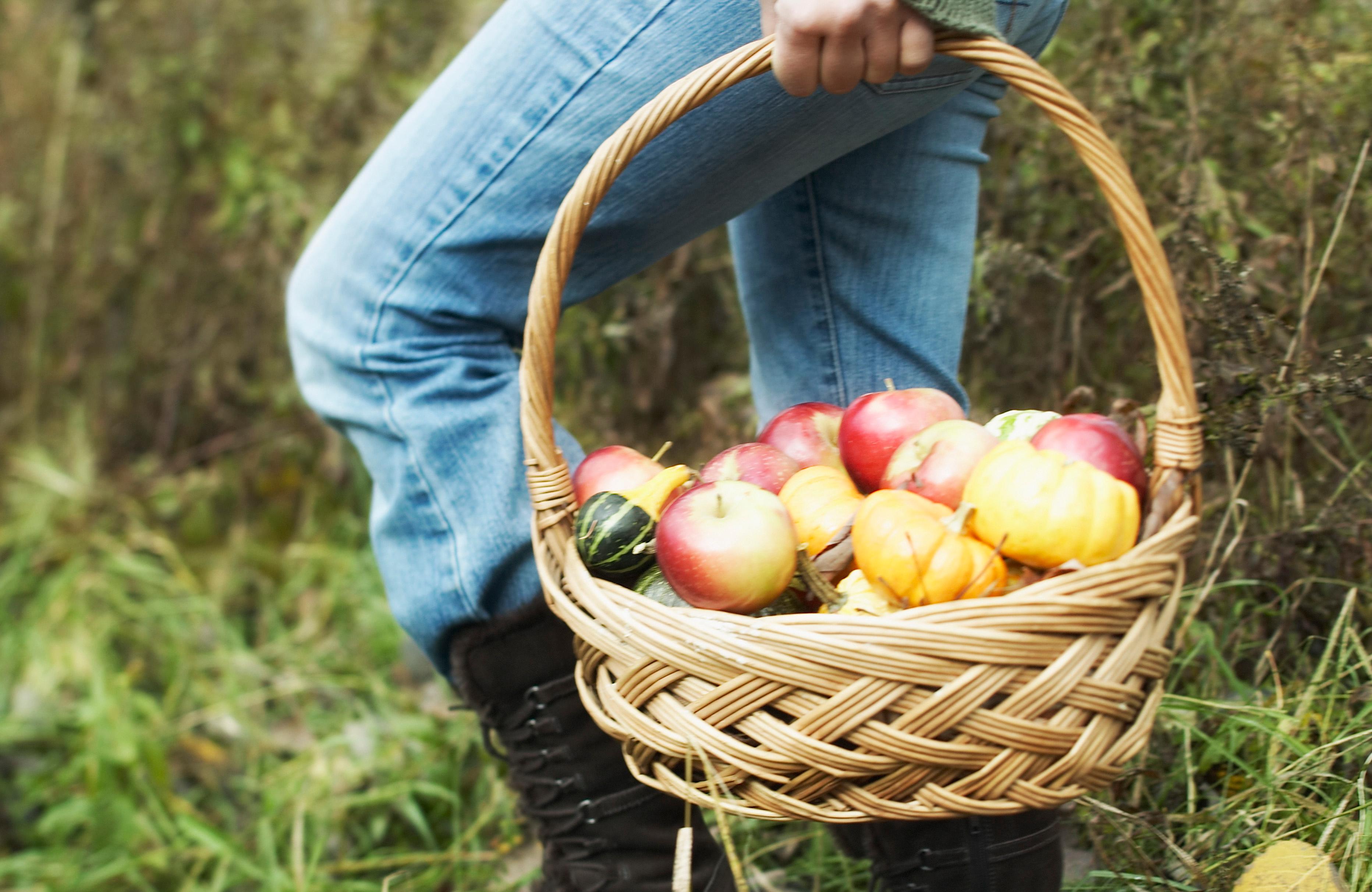 Basket of apples