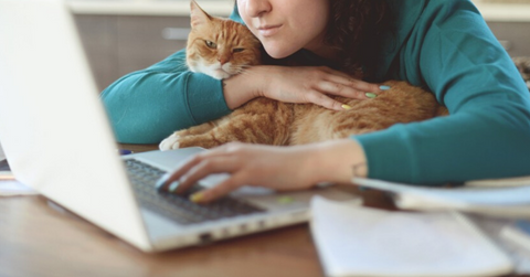 tiktok crazy cat lady killer