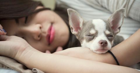 ralaxation-concept-beautiful-woman-sleeping-with-her-cute-dog-on-bed-picture-id1062402658-1555682501439.jpg