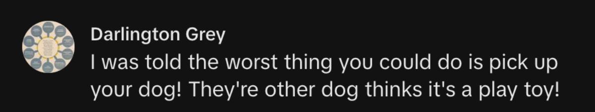 A commenter saying that the worst thing to do during a dog fight is pick up the dog