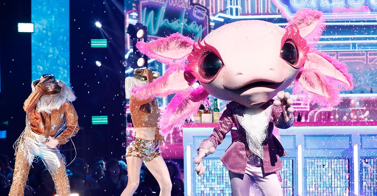 Axolotl performs country music