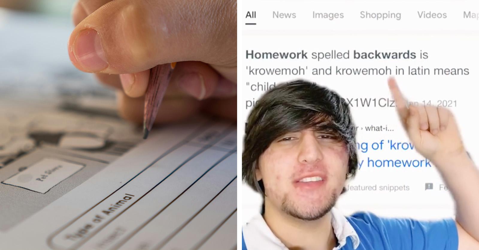 what does homework mean tiktok