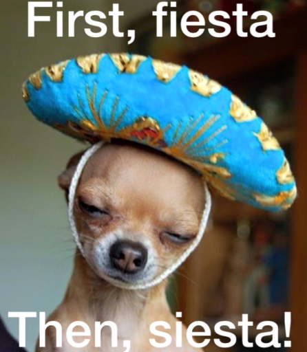 Happy Cinco De Mayo Memes to Keep the Fiesta Going Strong
