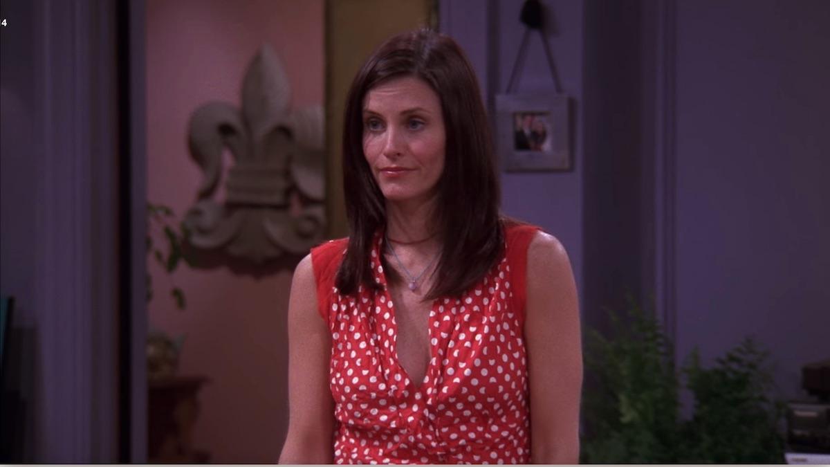 Why Monica from Friends is this summers unlikely style icon  Fashion   The Guardian