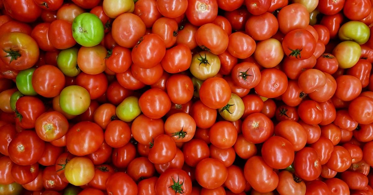 Why Tomatoes Are So Expensive Right Now