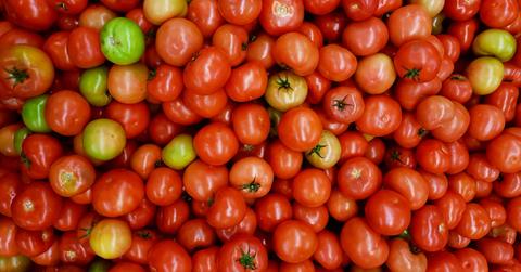 Why Tomatoes Are So Expensive Right Now
