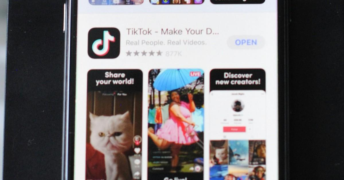 TikTok in the app store on a smartphone