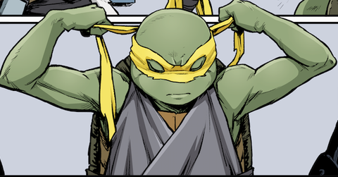 jennika ninja turtles