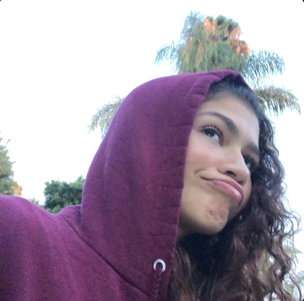 Zendaya Rue Bennett Euphoria Hoodie