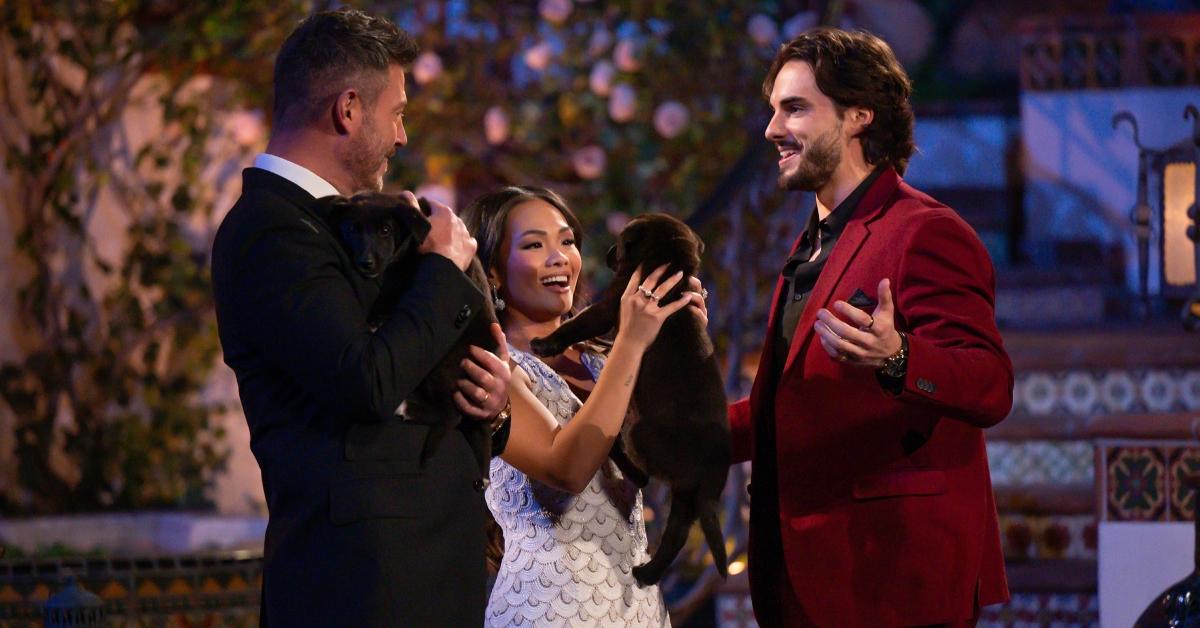 Tomas brings brownish-black puppies on 'The Bachelorette,' and Jesse Palmer and Jenn Tran hold and play with them.