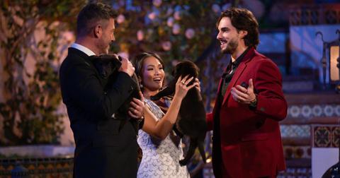 Tomas brings brownish-black puppies on 'The Bachelorette,' and Jesse Palmer and Jenn Tran hold and play with them.
