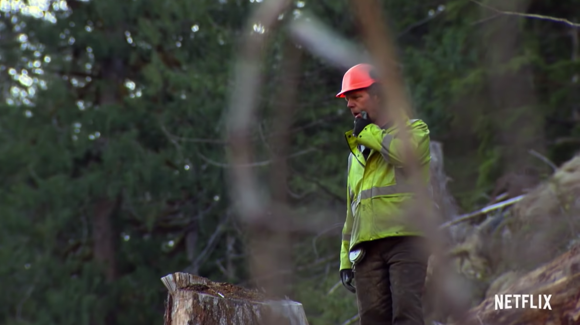 Kevin Wenstob Net Worth – Plus, 'Big Timber' Logger Salaries