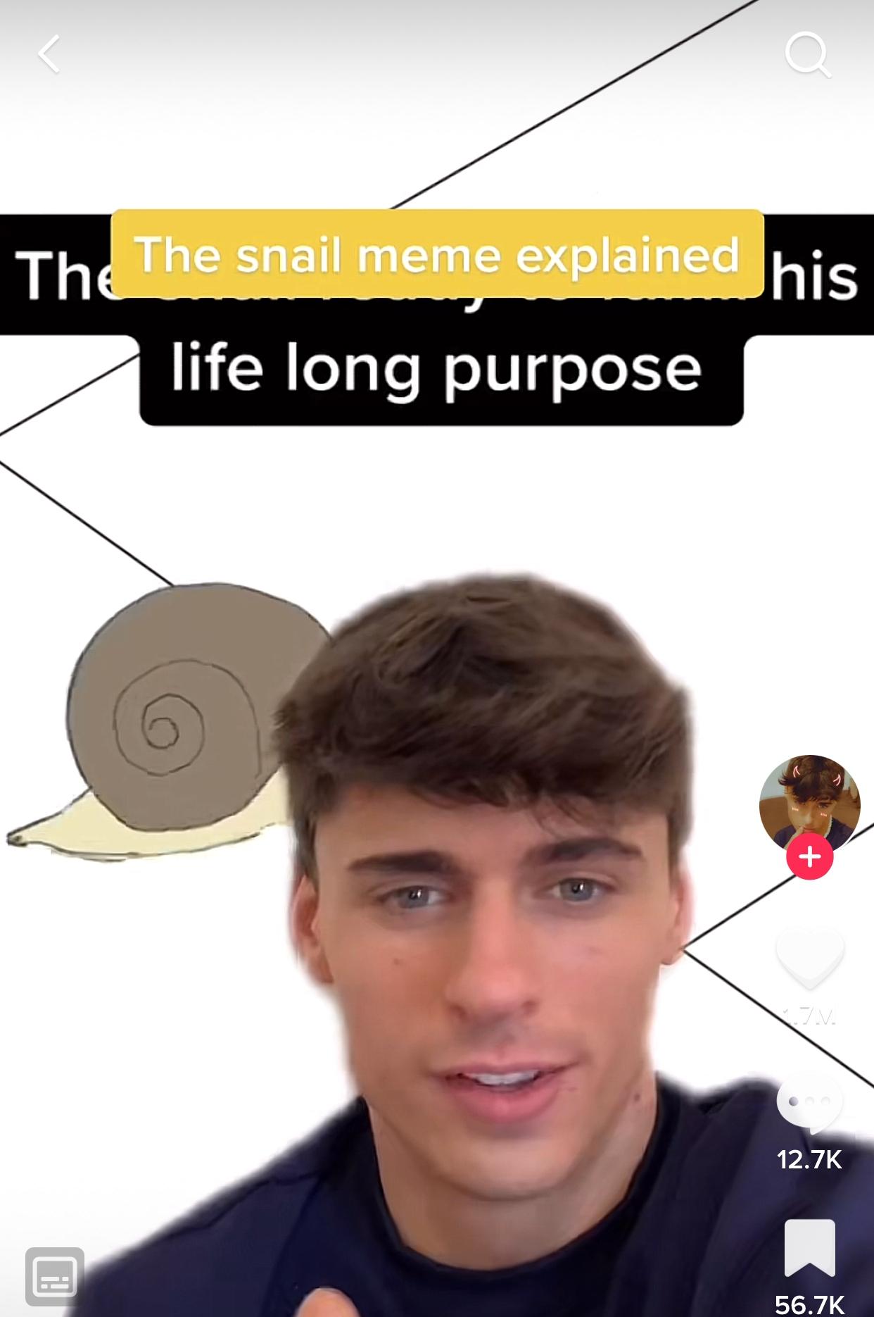 The Snail Meme on TikTok explained