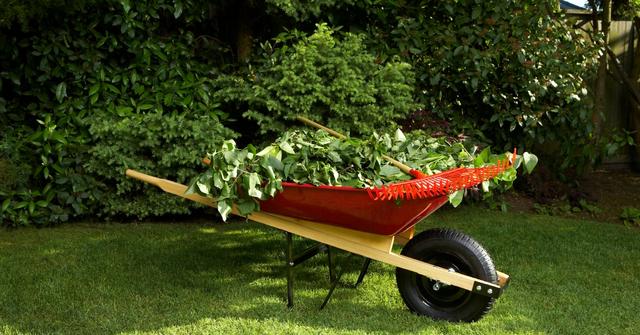 wheelbarrow with leaves