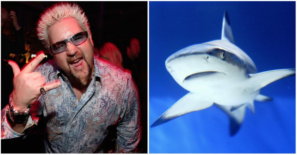 Has Anyone Died Filming Shark Week? No, But It Was Close