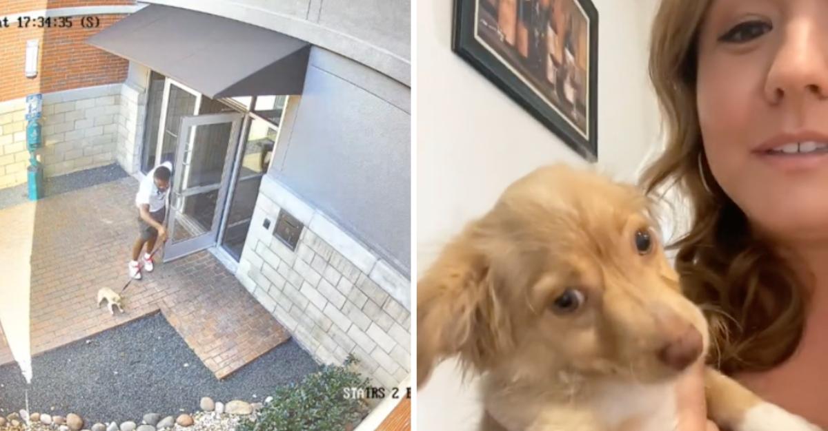 TikTok creator @jessicamlynnr shares footage of a man abandoning a puppy outside of her apartment