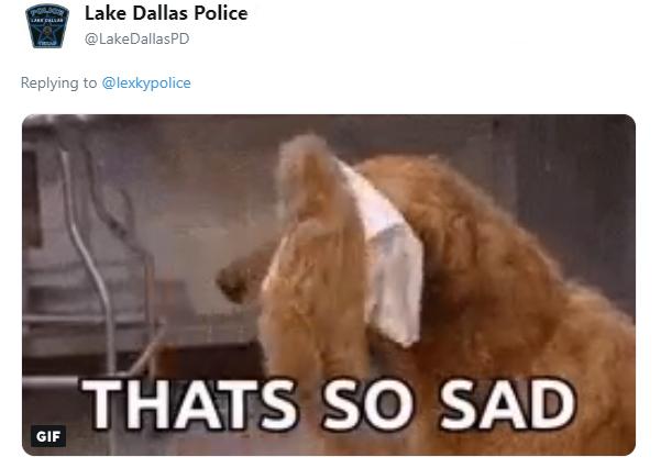 sad donut cop