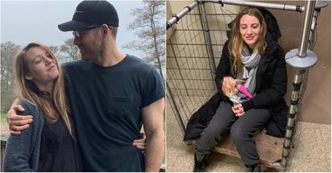 ryan reynolds blake lively