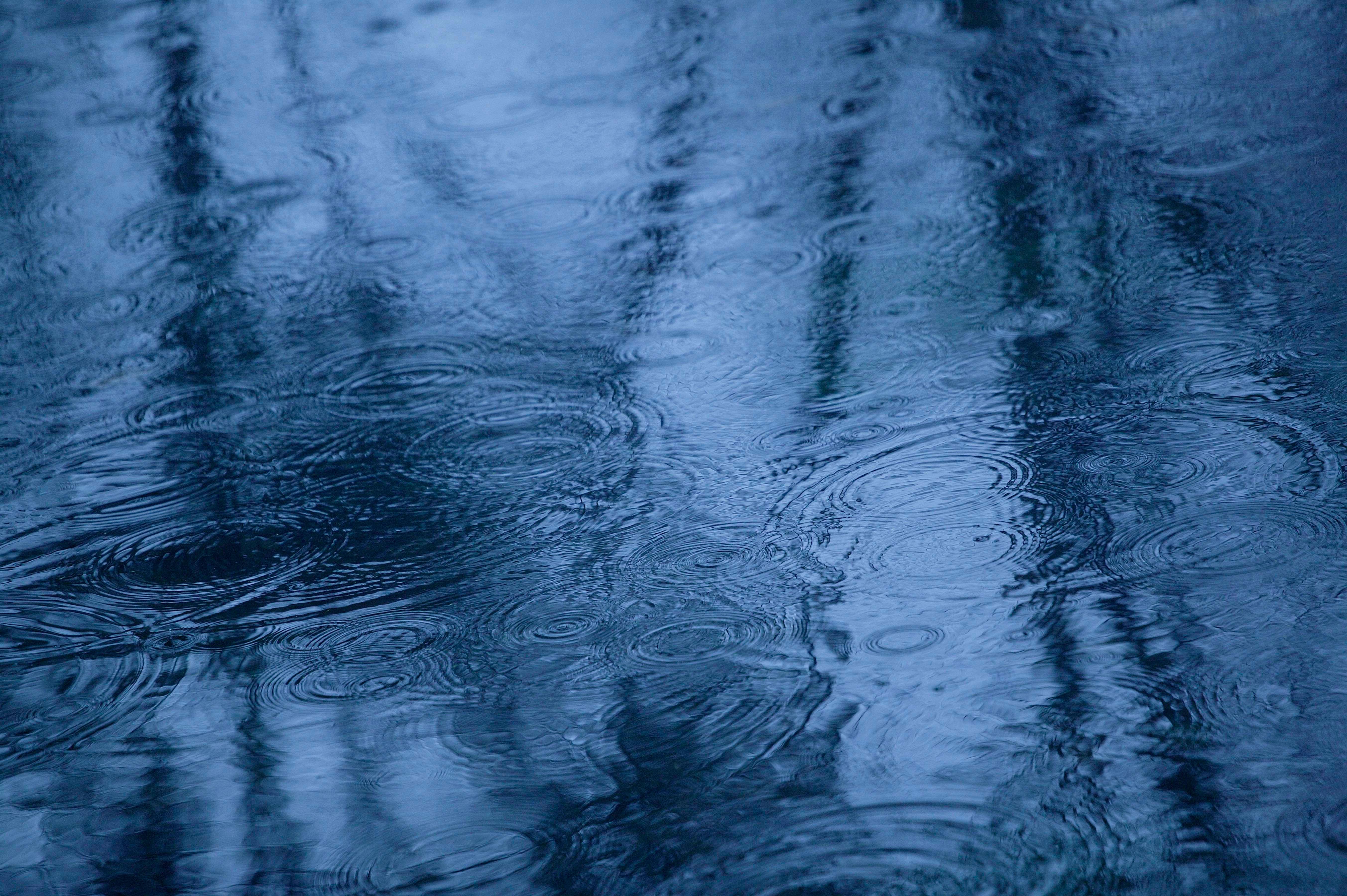 Raindrops hitting a puddle.