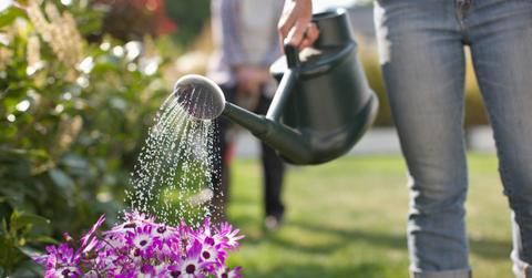 What is the ‘April Theory’ on TikTok?