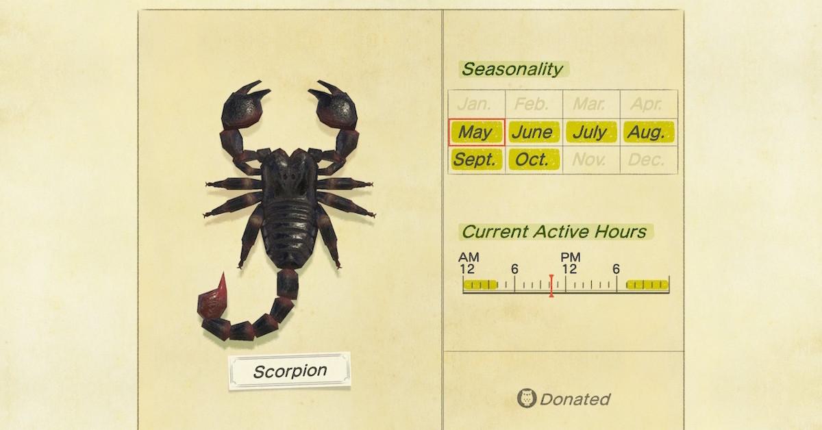 When Do Scorpions Come out on 'ACNH'? An 'Animal Crossing' Guide