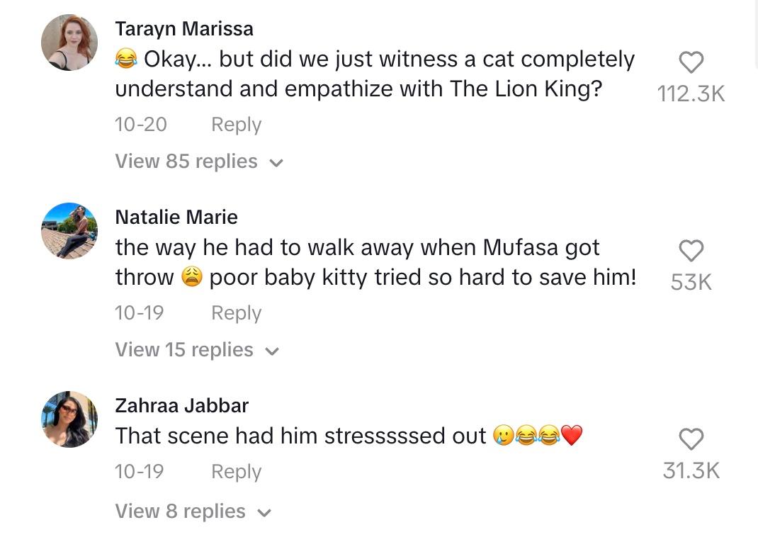 Commenters can't believe how the cat reacted to Mufasa's death in 'The Lion King'