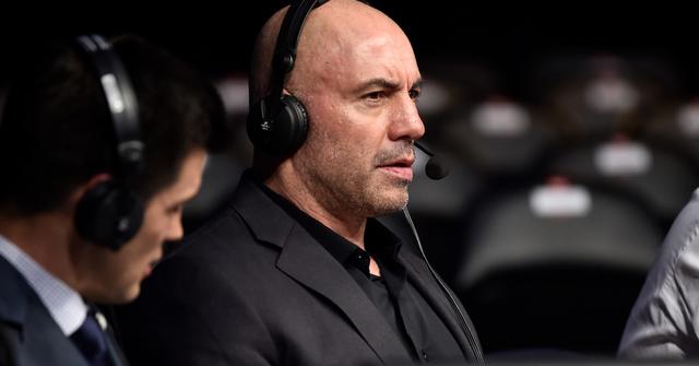 joe rogan