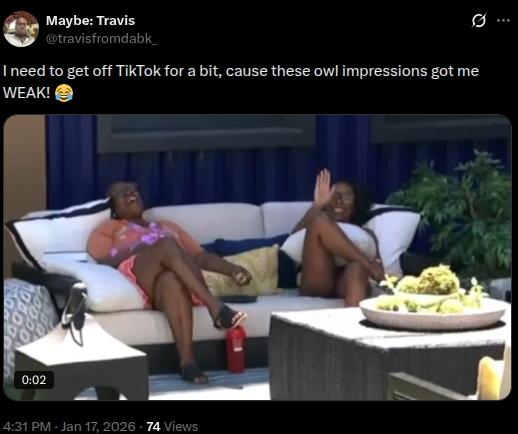 An X post about the owl impression trend on TikTok.