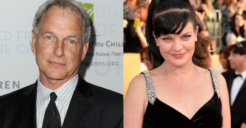 mark harmon and pauly perrette drama
