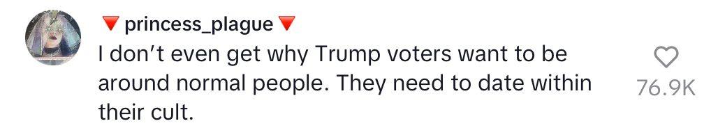 Comment on TikTok of woman saying young men lie about who they voted for to date.