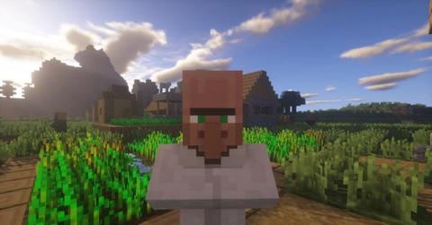'Minecraft' Close-up image of a Villager standing in a field.