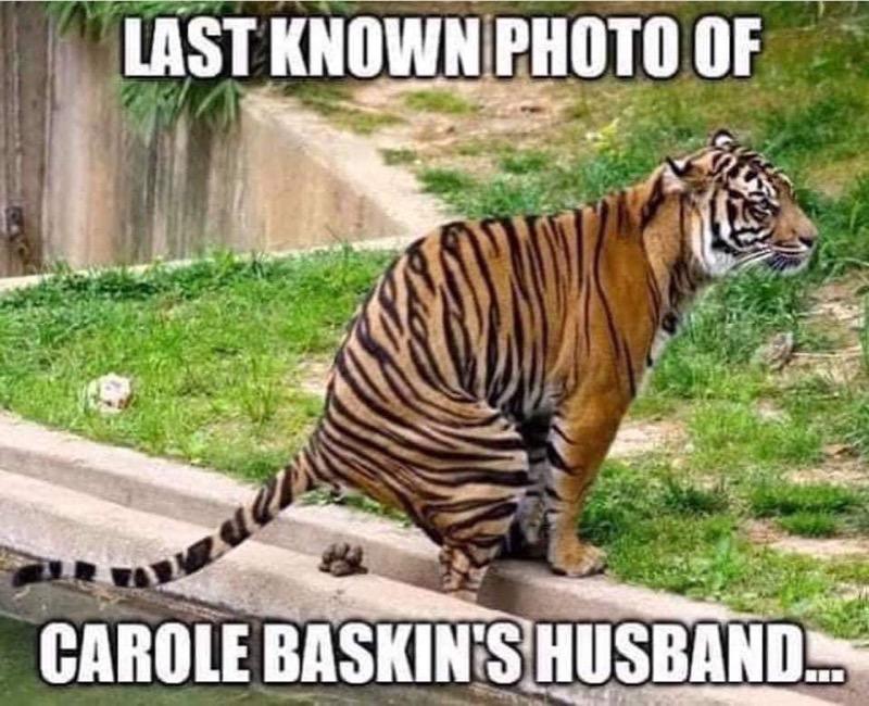 These Carole Baskin Memes Are The Cat S Meow Check Them Out Here