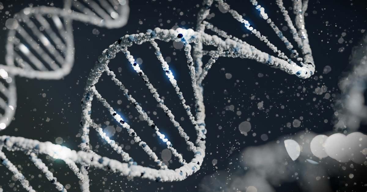 DNA